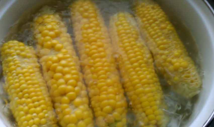kukuruz, priprema kukuruza, kuvani kukuruz, kukuruz secerac
